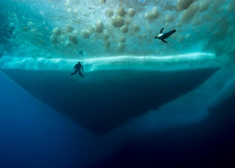 Profundidades de la Antártida suenan como «naves espaciales»