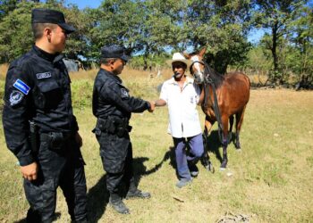 Entregan a su dueño a “Viruta”, la yegua que deambulaba en calles de San Salvador