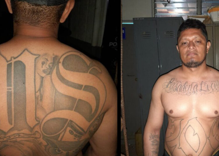 Pandillero deportado desde Estados Unidos fue capturado