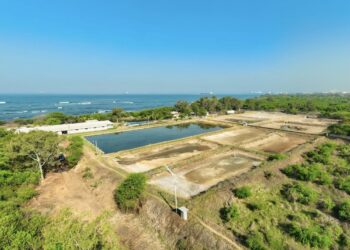 Inician remodelación y rehabilitación de cuatro estaciones acuícolas de Cendepesca