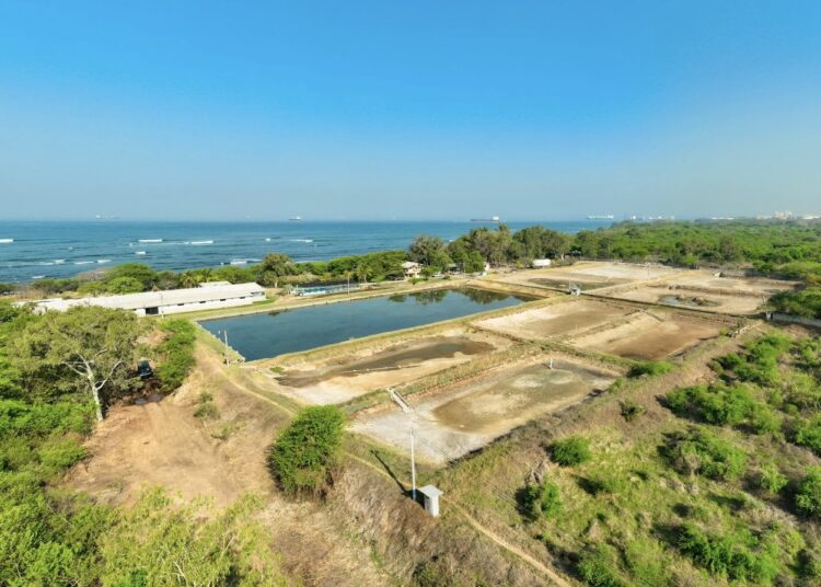 Inician remodelación y rehabilitación de cuatro estaciones acuícolas de Cendepesca