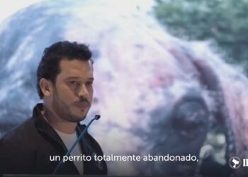 VIDEO | IBA da segunda oportunidad de vida a “Rocky”