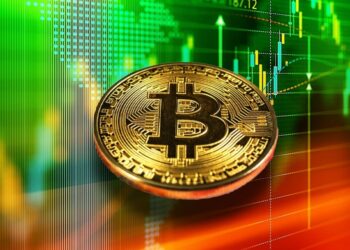 Bitcoin rompió un nuevo récord histórico: superó los USD 69.000 por primera vez