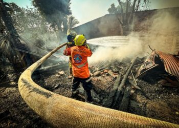 Sofocan incendio de un vivero en Ahuachapán