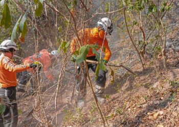 Sofocan incendio en cerro San Jacinto, de San Salvador
