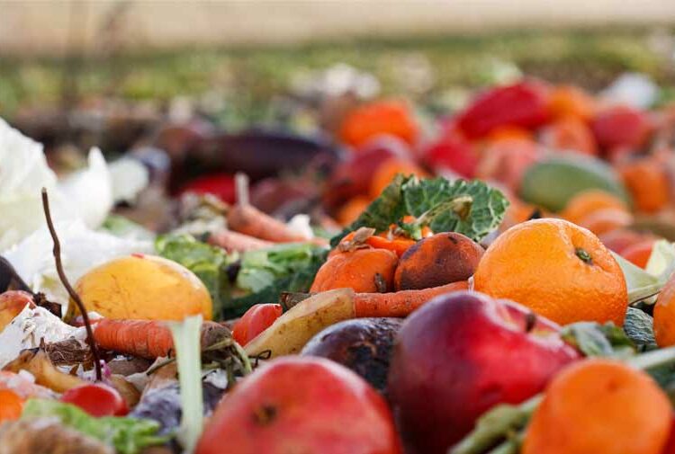 Mil millones de toneladas de comida desperdiciadas en 2022