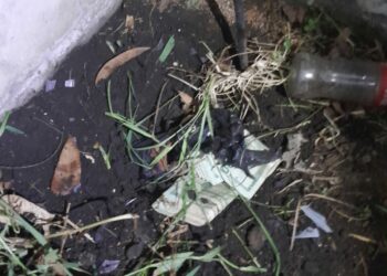 Ponen gato muerto sobre dinero enterrado para despistar a fiscales en procedimiento de drogas en el Puerto de La Libertad