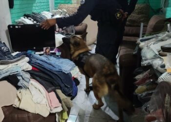 Capturan a sujeto que mantenía droga oculta en su vivienda en Altavista