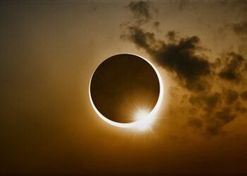 Investigarán el comportamiento de los animales en el eclipse de abril