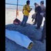 Corriente de retorno cobra la vida de un adulto mayor en playa San Luis La Herradura, La Paz