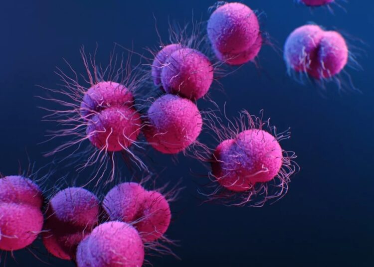 Los casos de gonorrea resistente a los medicamentos se triplicaron en China, lo que representa una amenaza global