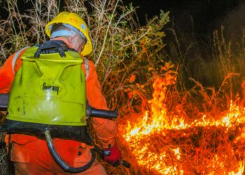 Sofocan incendio de maleza seca en Ciudad Delgado, de San Salvador