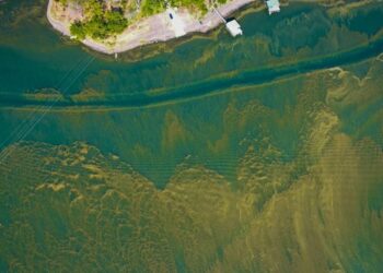 Cianobacterias en lago de Coatepeque se concentra en El Bajadero, El Manguito y Lajamaya