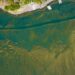 Cianobacterias en lago de Coatepeque se concentra en El Bajadero, El Manguito y Lajamaya
