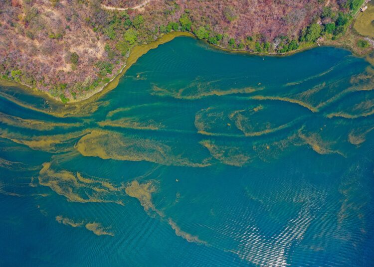 Bacterias afectan calidad de agua del lago de Coatepeque, MARN recomienda no bañarse en sus aguas