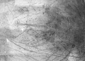 Lunas que orbitan en Saturno y Júpiter tienen granos de hielo donde puede haber vida