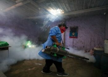 Perú reporta 44 muertos por dengue, casos suben 131%