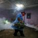 Perú reporta 44 muertos por dengue, casos suben 131%