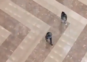 (VIDEOS ) Al menos 40 muertos y más de 100 heridos en un ataque en un teatro de Moscú