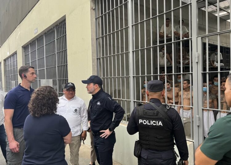 Senador Tom Cotton: “Lo que está pasando en El Salvador en los últimos años es realmente notable»