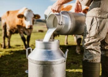 Detectaron casos de gripe aviar en vacas lecheras de Texas, Kansas y Nuevo México