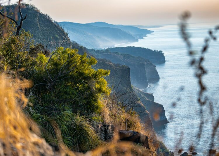 Detectan presencia de Polvos del Sahara sobre territorio nacional
