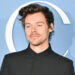 La acosadora de Harry Styles irá a la cárcel y no podrá asistir a ningún concierto suyo cuando salga