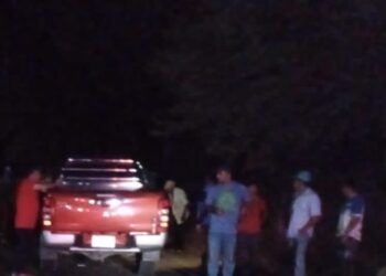 Pick up impactó contra 4 vacas que murieron al instante