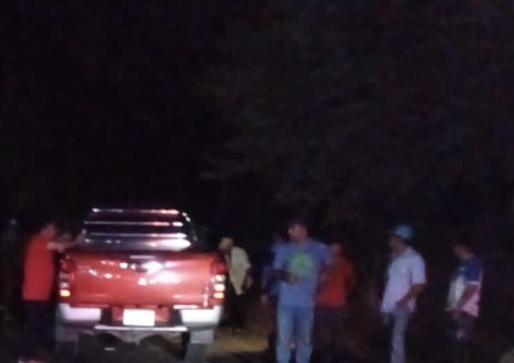 Pick up impactó contra 4 vacas que murieron al instante