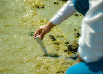 Ejecutan proyectos para mejorar condiciones en el sector del lago de Coatepeque