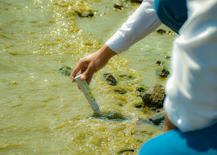 Ejecutan proyectos para mejorar condiciones en el sector del lago de Coatepeque