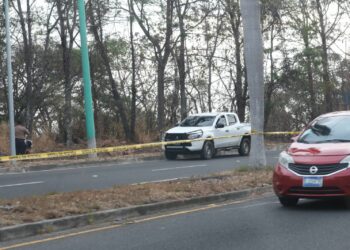 Encuentran cadáver de una joven colgando de un árbol en bulevar Luis Poma