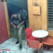 Cámaras de vigilancia captan a dos asaltantes en una venta de sorbetes
