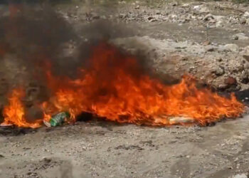 Autoridades destruyen droga valorada en más de $513,000