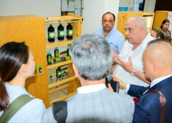 Gobierno brinda apoyo a las micro y pequeñas empresas