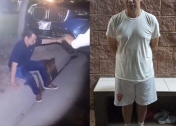 Reportan captura de conductor que estrelló su vehículo contra un árbol