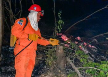 Sofocan incendio de maleza seca en residencial Vía del Mar, en Nuevo Cuscatlán