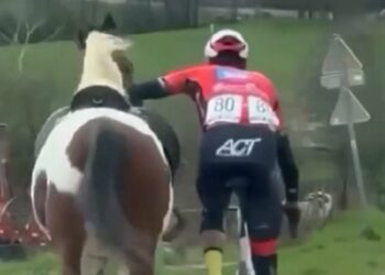 (VIDEO) Un ciclista logró domar un caballo en plena carrera y evitó un accidente