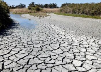 Gobierno de Colombia suspende labores para ahorrar agua