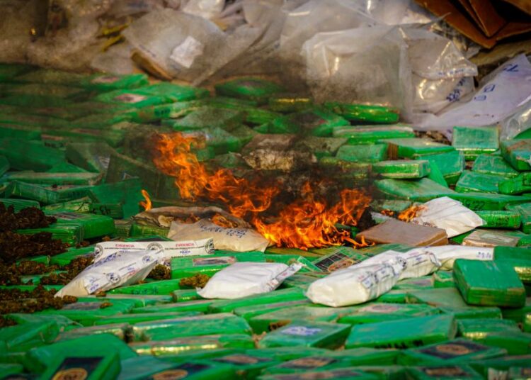 Autoridades destruyeron droga valorada en más de $47,000