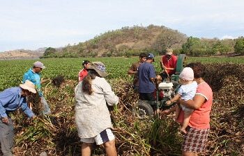 Economía y agricultura serán principales retos de próxima legislatura, afirma Alexia Rivas