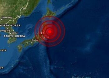 (VIDEO) Un terremoto de magnitud 6.0 sacudió el este de Japón