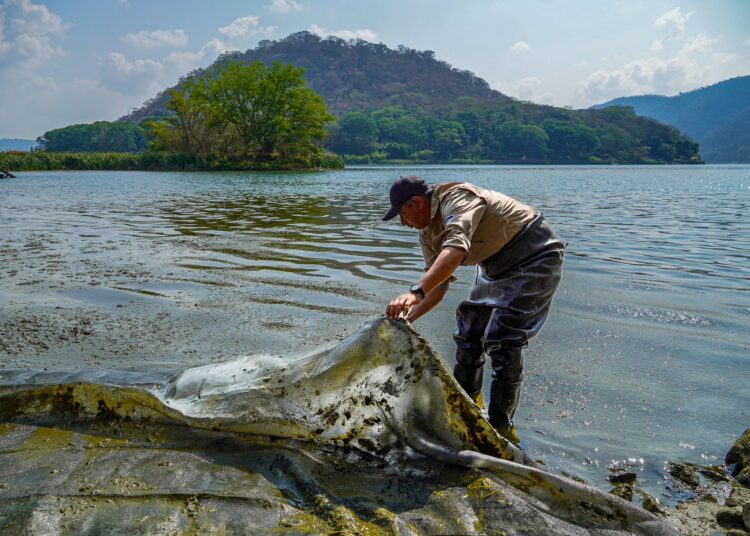 Medio Ambiente retira cianobacterias del lago de Coatepeque