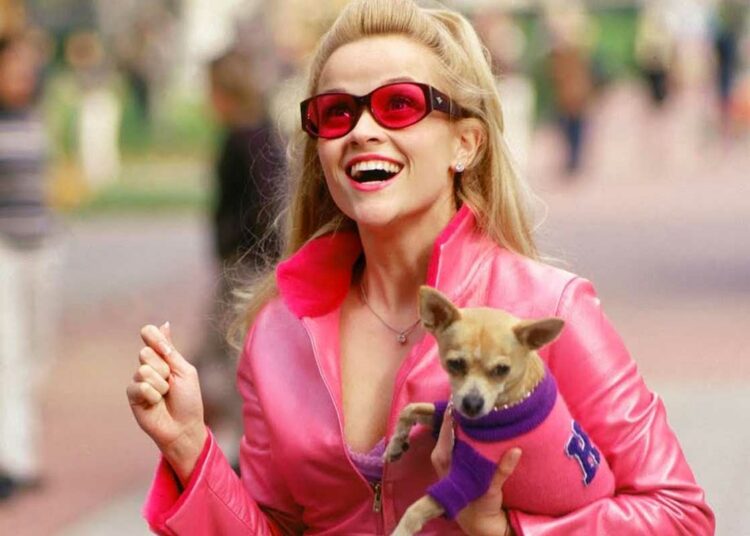 Serie spin-off de Legalmente Rubia se encuentra en desarrollo