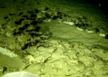 Con robot submarino se descubren secretos del lago de agua dulce más profundo del mundo