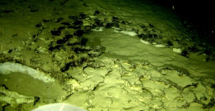 Con robot submarino se descubren secretos del lago de agua dulce más profundo del mundo