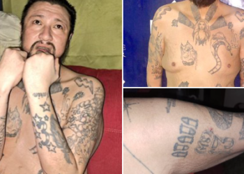 Cristian Guevara: «Si no tuviéramos el régimen de excepción, mareros como este que aún quedan escondidos estarían libres»