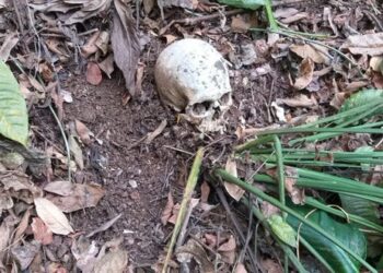 Hallan osamenta humana de varios años de antigüedad en Teopeque, La Libertad