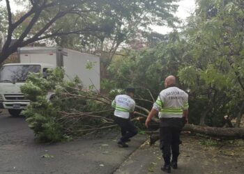 Habilitan paso de vehículos en carretera Panamericana, en San Miguel