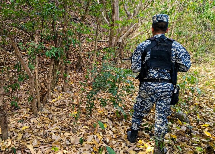 Salvadoreños se sienten seguros con el Régimen de Excepción, según encuesta del IUDOP